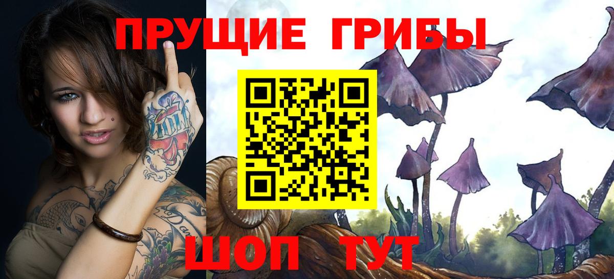 Северск  Галлюциногенные грибы Psilocybine cubensis  как найти закладки  Вход с VPN 
