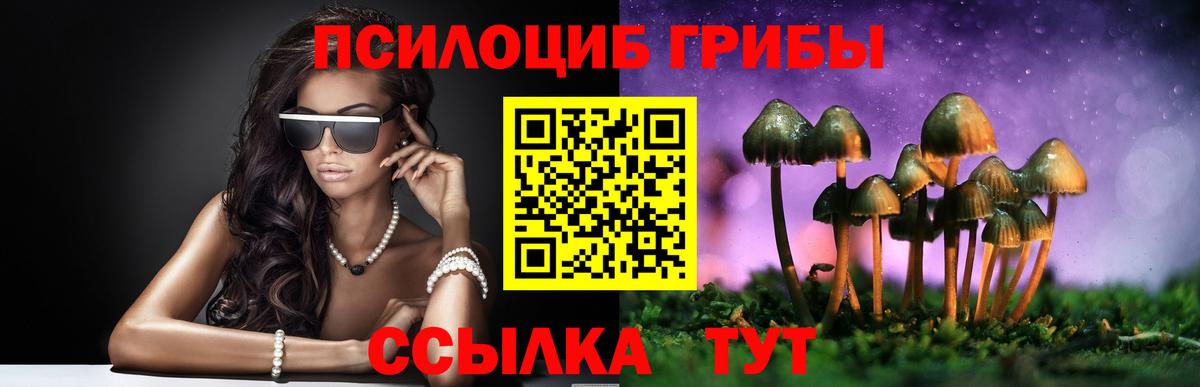 Псилоцибиновые грибы прущие грибы Северск